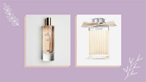 fragrances similar to chloe|zara chloe signature dupe.